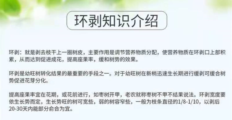 滑轮果树环剥器环剥刀柑橘枇杷蜜柚橙子石榴柚子枣树开甲环割