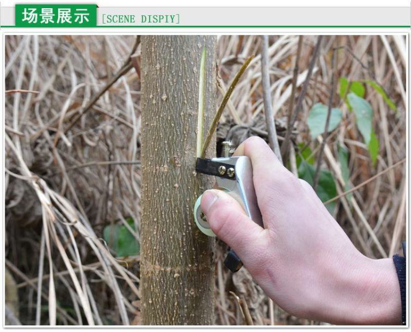 滑轮果树环剥器环剥刀柑橘枇杷蜜柚橙子石榴柚子枣树开甲环割