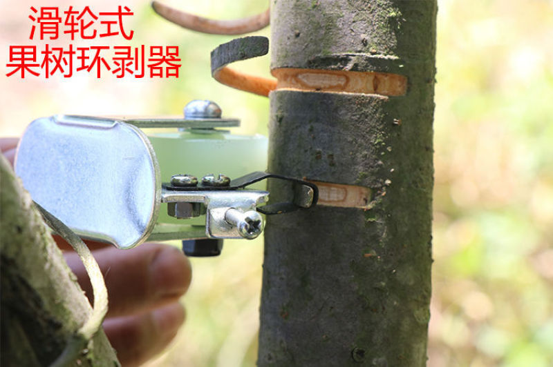 滑轮果树环剥器环剥刀柑橘枇杷蜜柚橙子石榴柚子枣树开甲环割