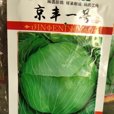京丰一号包菜种子，扁圆甜脆。球紧耐运亩产高达7000千克