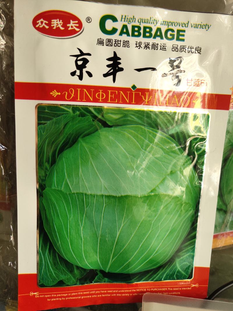 京丰一号包菜种子，扁圆甜脆。球紧耐运亩产高达7000千克