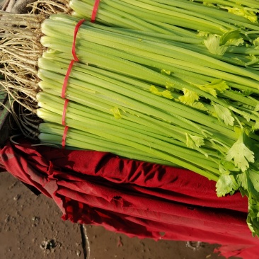 麦芹常年有货，货源充足，价格美丽有需要的老板可以联系我