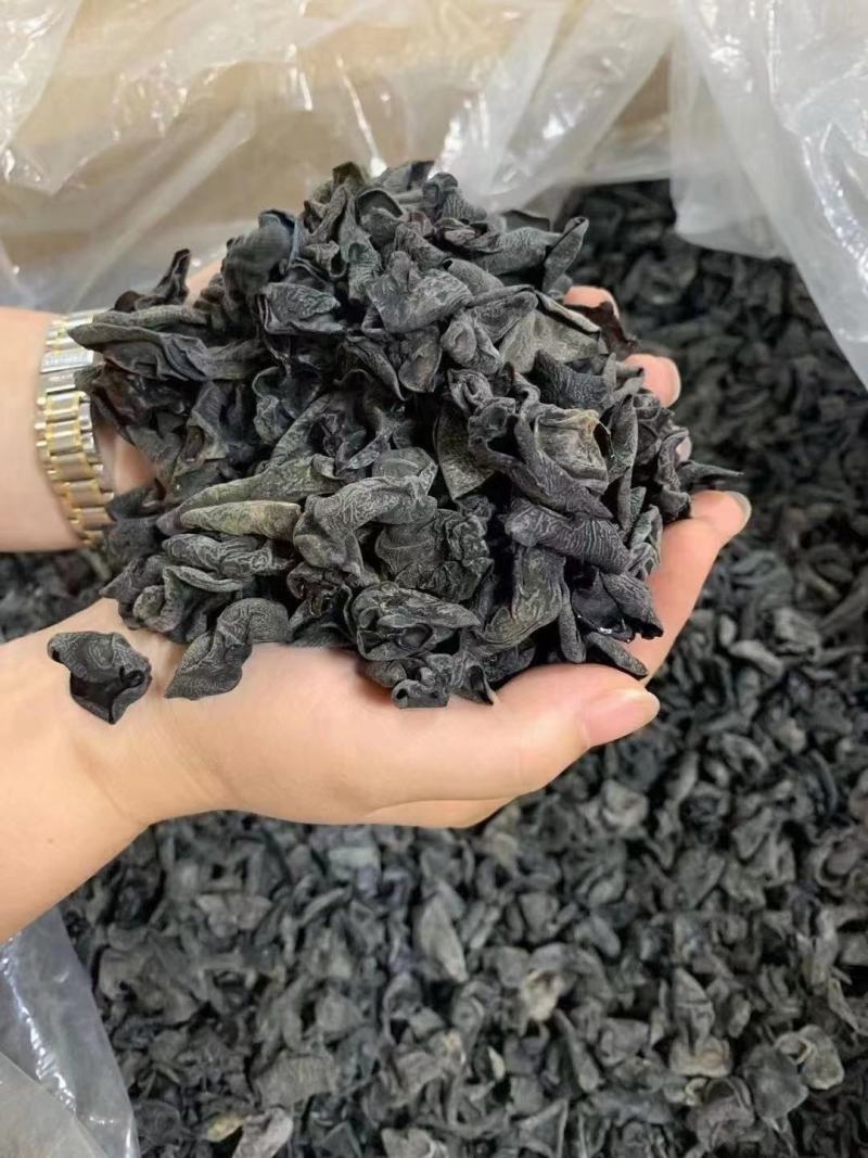 东北黑木耳小木耳黑木耳小碗木耳凉拌木耳木耳批发