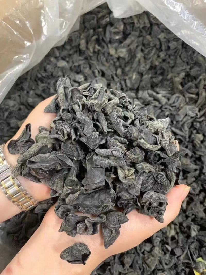 东北黑木耳小木耳黑木耳小碗木耳凉拌木耳木耳批发