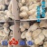 基地直卖纯种黄羽乌鸡苗金凤乌鸡苗另有黑乌鸡苗