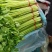 麦芹常年有货，货源充足，价格美丽有需要的老板可以联系我