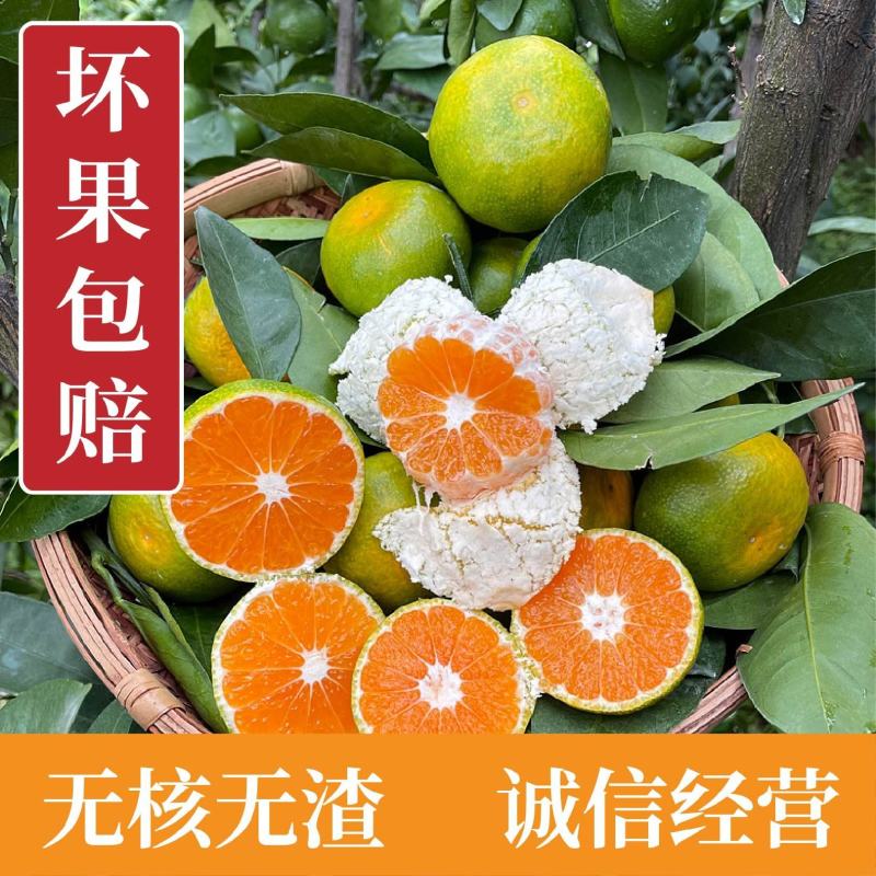 精品湖北蜜橘柑桔特早蜜橘皮薄肉厚诚信供应蜜橘