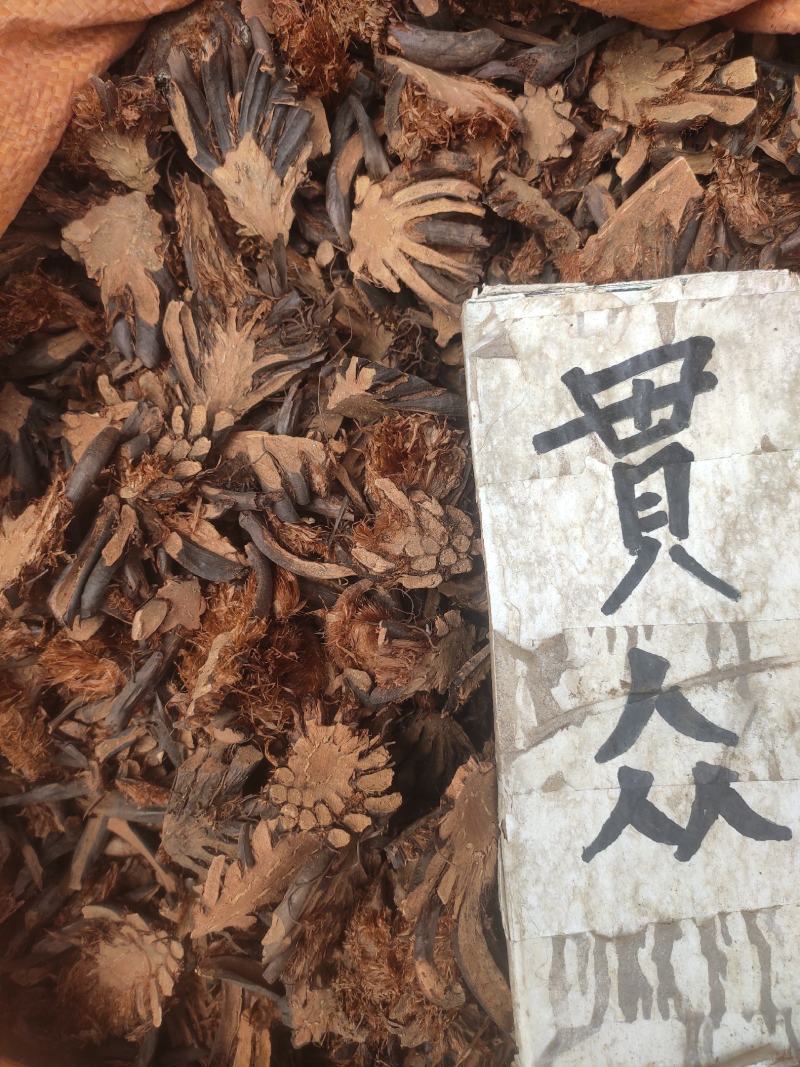 贯众貫众干货切片量大从优欢迎选购！