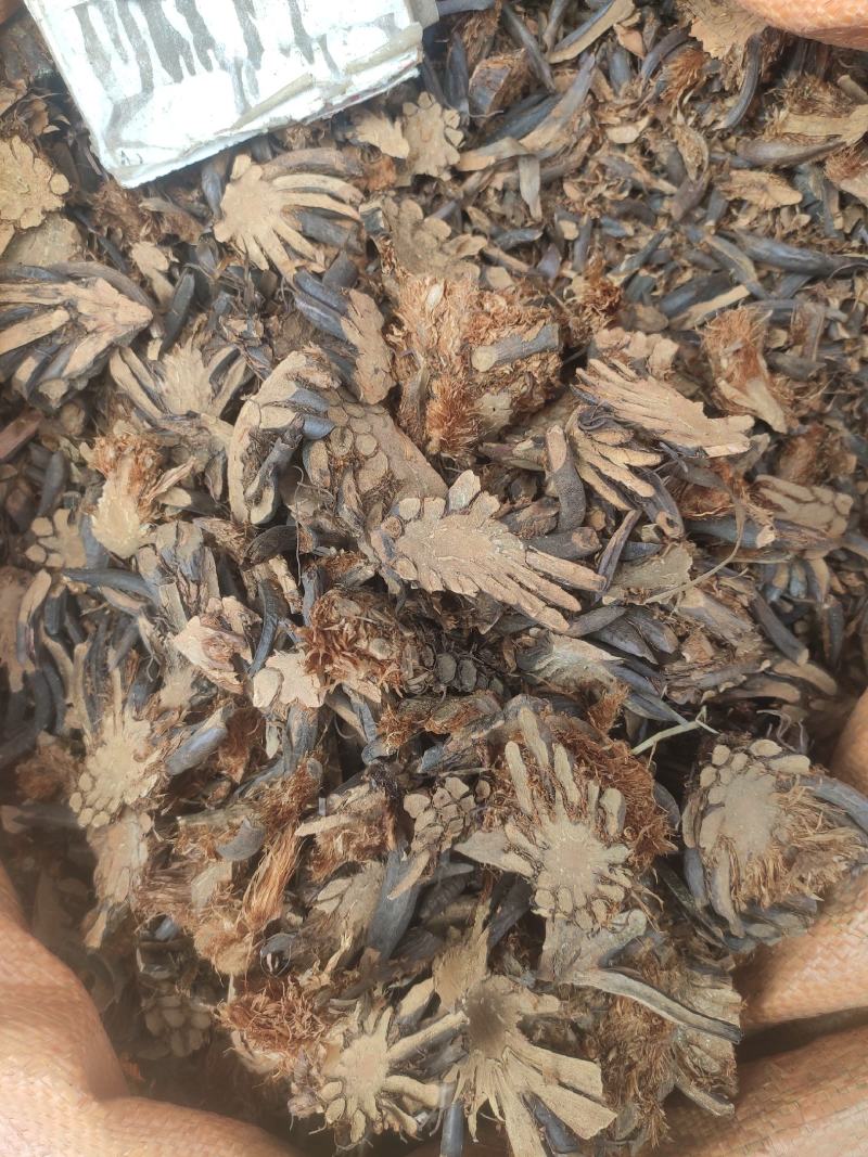 贯众貫众干货切片量大从优欢迎选购！