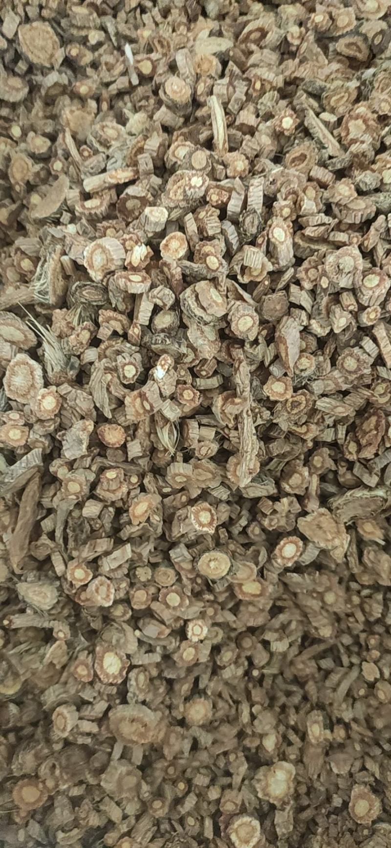 防风常年主营防风批发零售均可！欢迎选购！