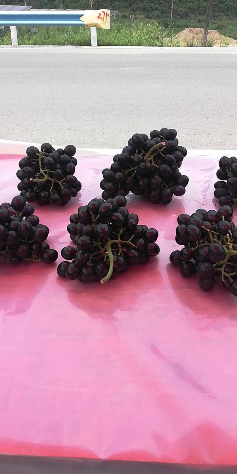 长顺四宝之一，紫王葡萄已上市.：物美价廉，品质保证。