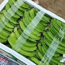 海南保亭县自产无公害食品四角豆，也叫龙豆，