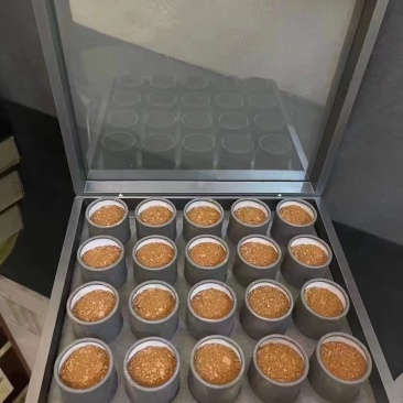 长白山灵芝孢子粉特级片状高端送礼批发直销
