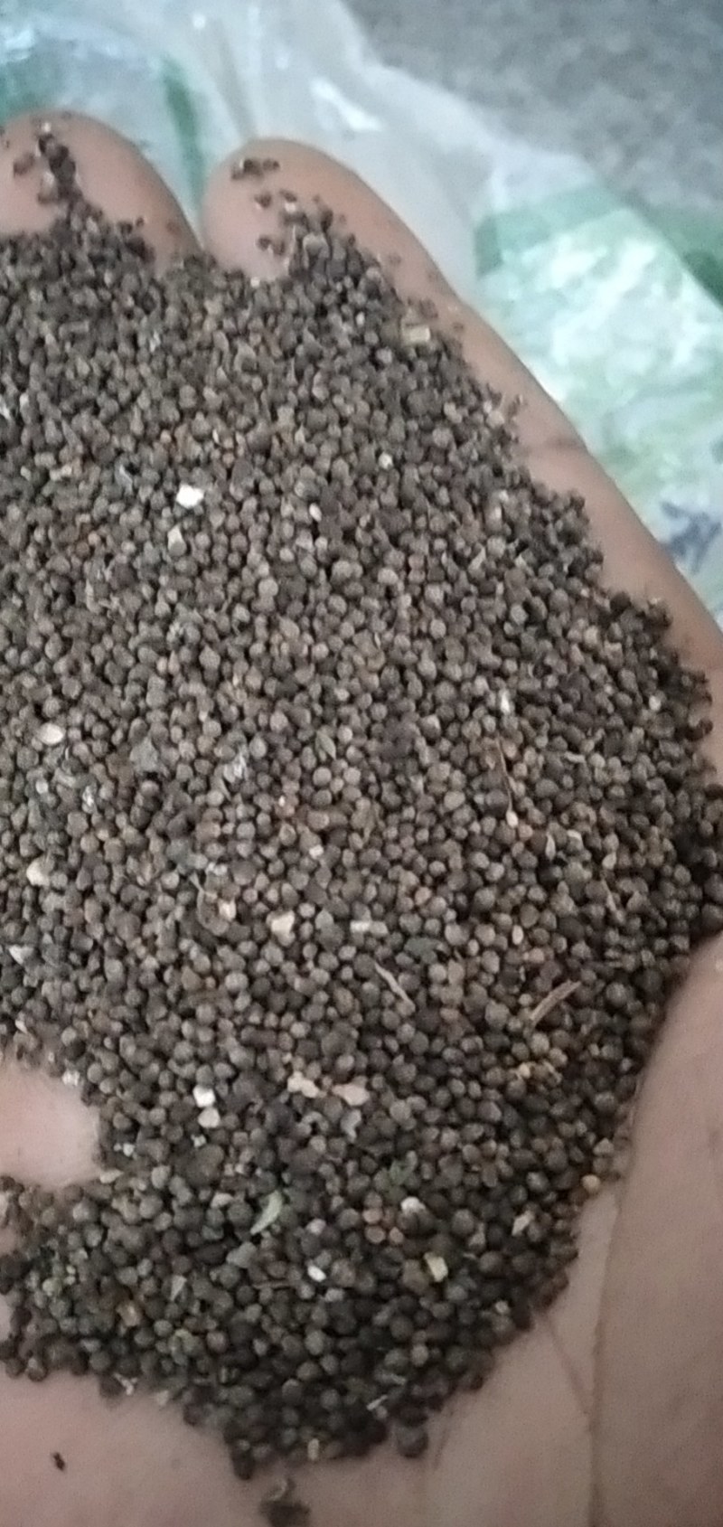 紫苏子野生苏子何大别山野生中药材批发零售河南货