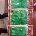 全国高端产品汕头金船牌大荚荷兰豆种子101