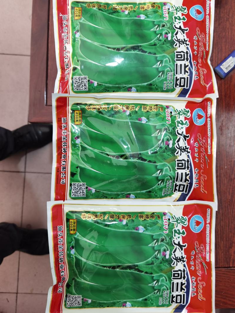 全国高端产品汕头金船牌大荚荷兰豆种子101