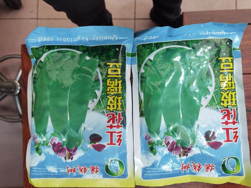 全国高端产品汕头金船牌大荚荷兰豆种子101
