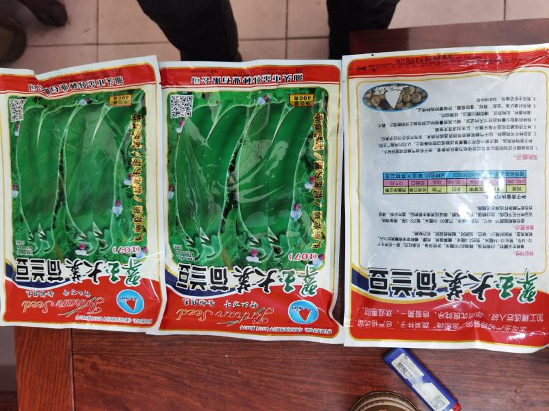 全国高端产品汕头金船牌大荚荷兰豆种子101