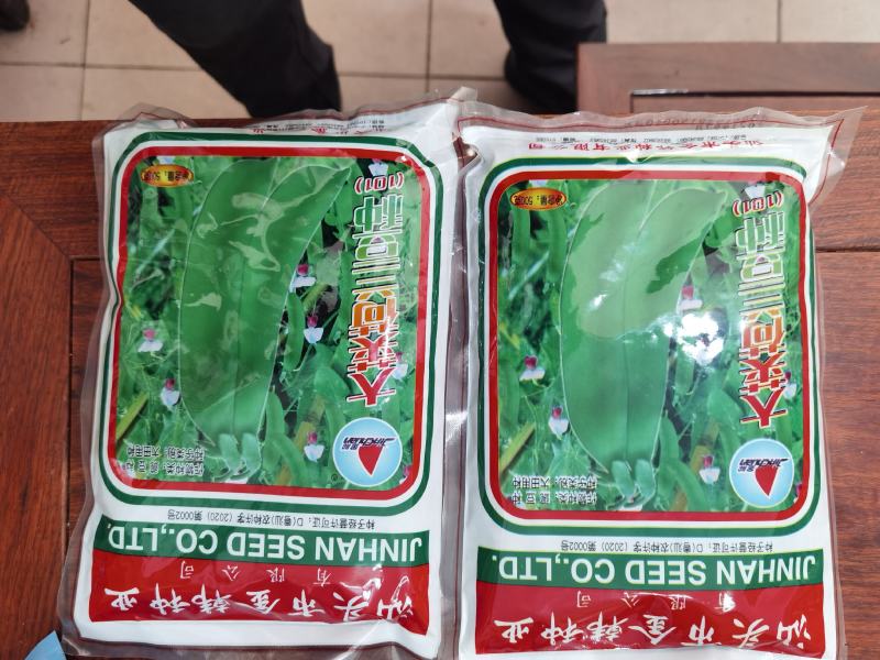 全国高端产品汕头金船牌大荚荷兰豆种子101