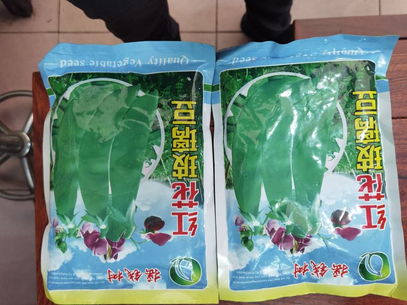 全国高端产品汕头金船牌大荚荷兰豆种子101