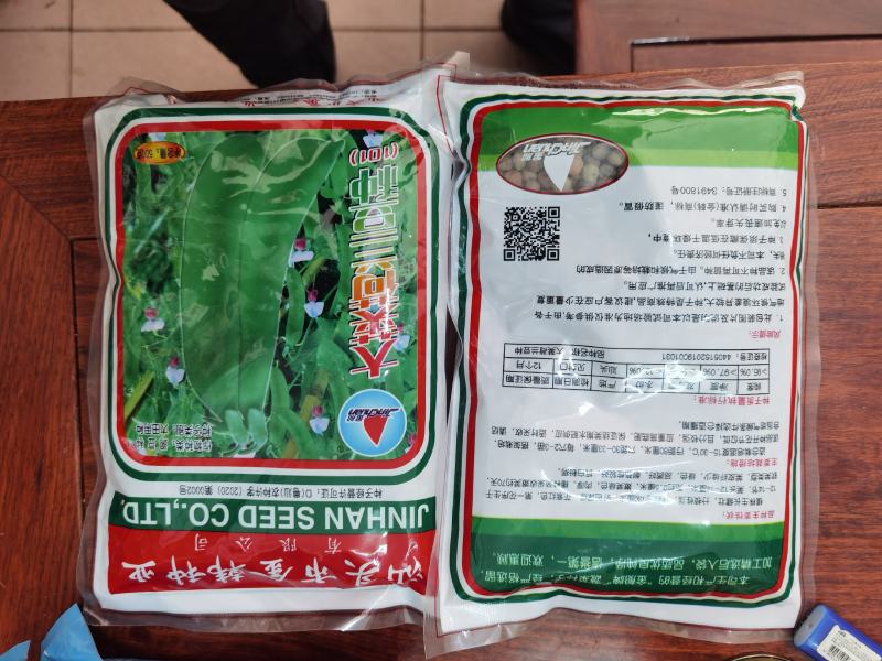 全国高端产品汕头金船牌大荚荷兰豆种子101