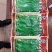 全国高端产品汕头金船牌大荚荷兰豆种子101