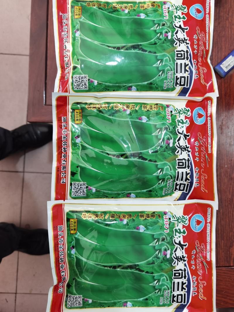 全国高端产品汕头金船牌大荚荷兰豆种子101