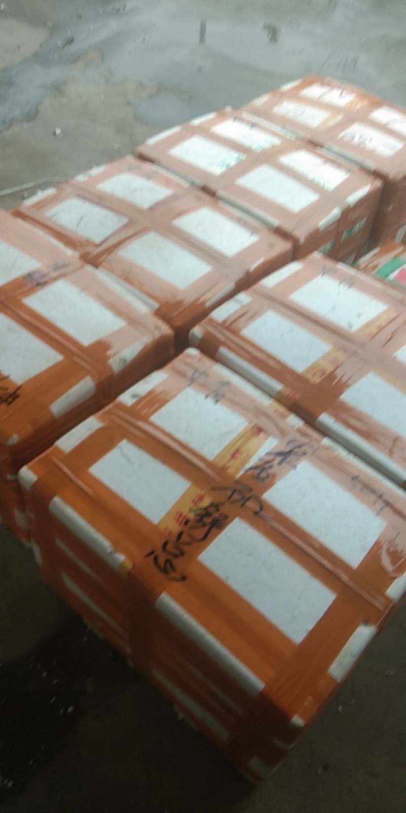 潜江小龙虾，清水小龙虾肉质Q弹，50斤起批欢迎老板下单