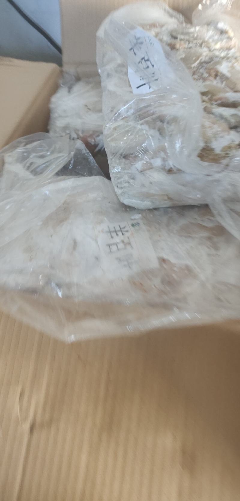 带毛羊百叶，支持一件样品发货，全国接单中，支持线上下单