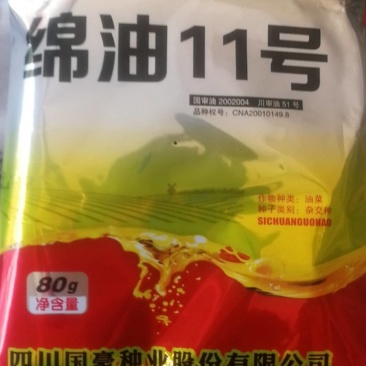 绵油11号油菜籽种子，直播210天，移栽220天。