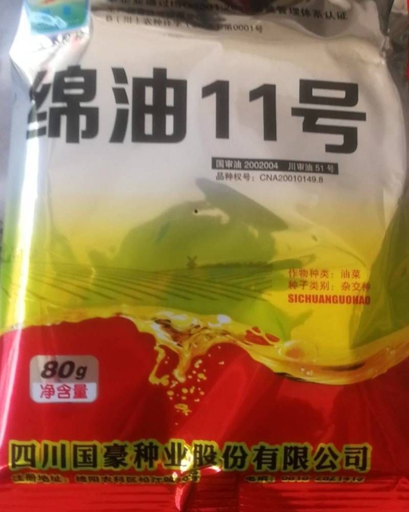 绵油11号油菜籽种子，直播210天，移栽220天。