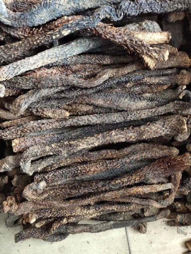 肉苁蓉片大芸个子大货大量供应一件代发