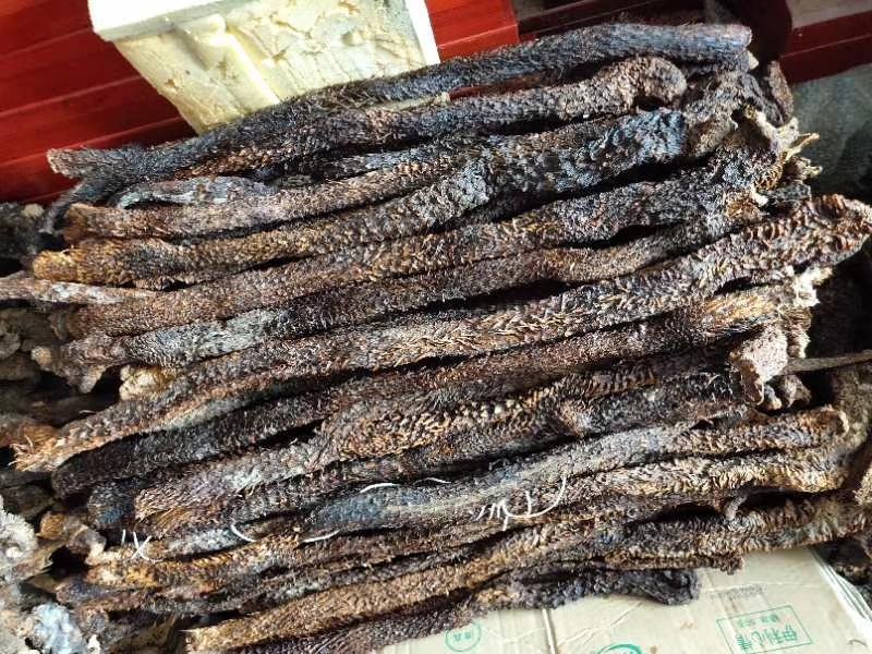 肉苁蓉片大芸个子大货大量供应一件代发