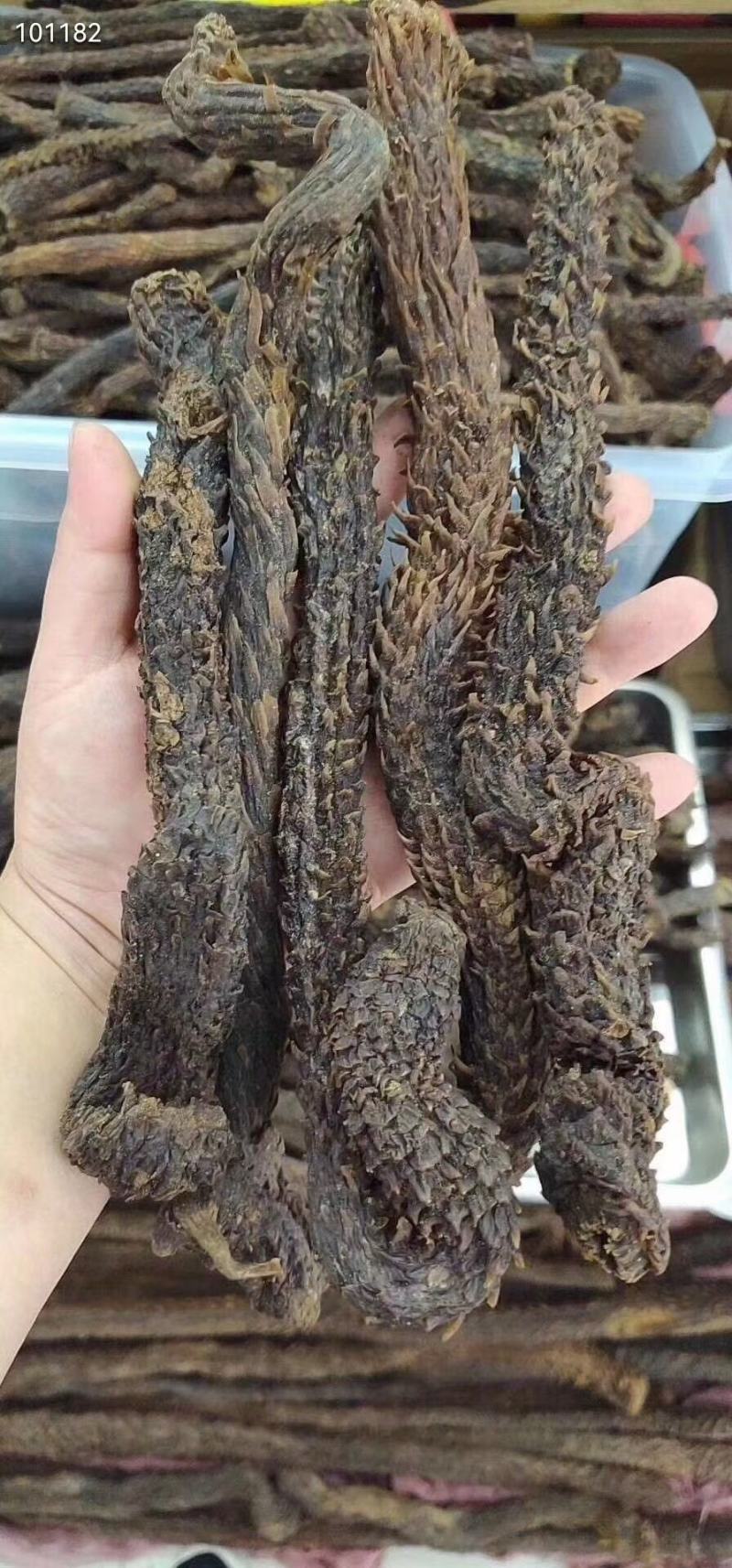 肉苁蓉片大芸个子大货大量供应一件代发