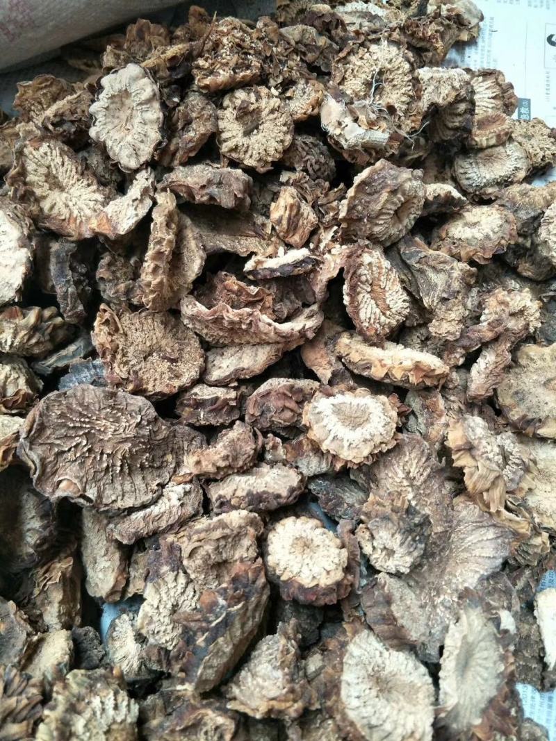 肉苁蓉片大芸个子大货大量供应一件代发