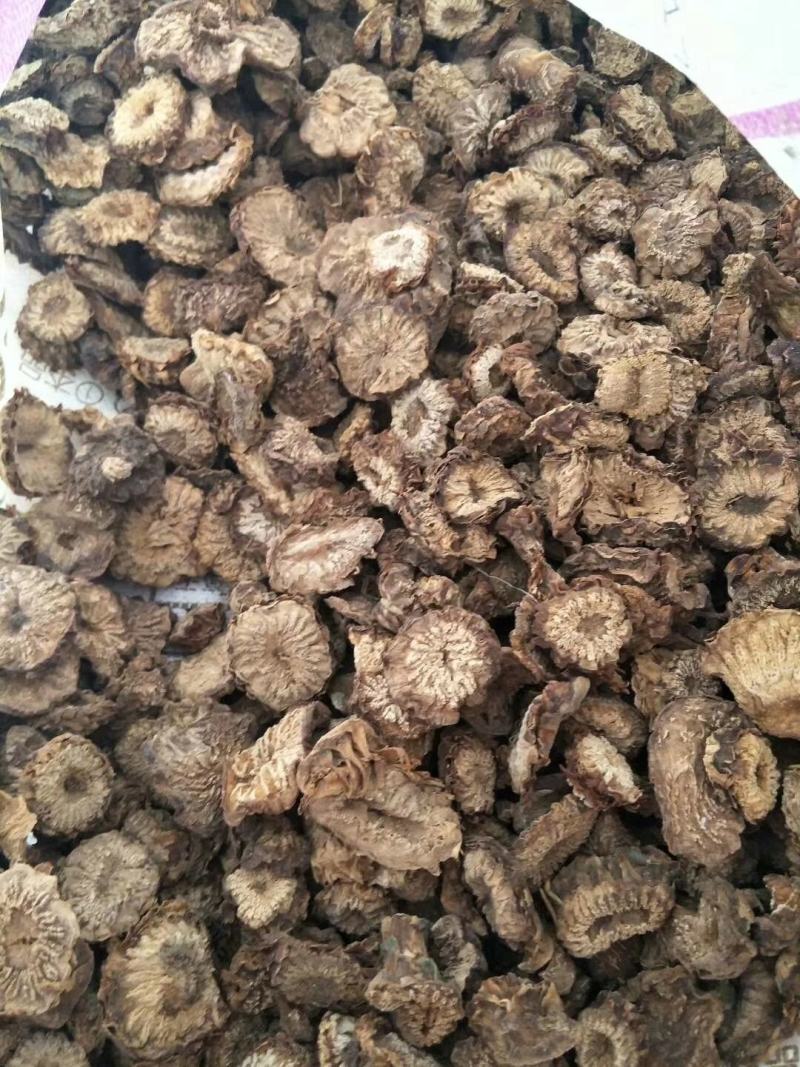肉苁蓉片大芸个子大货大量供应一件代发