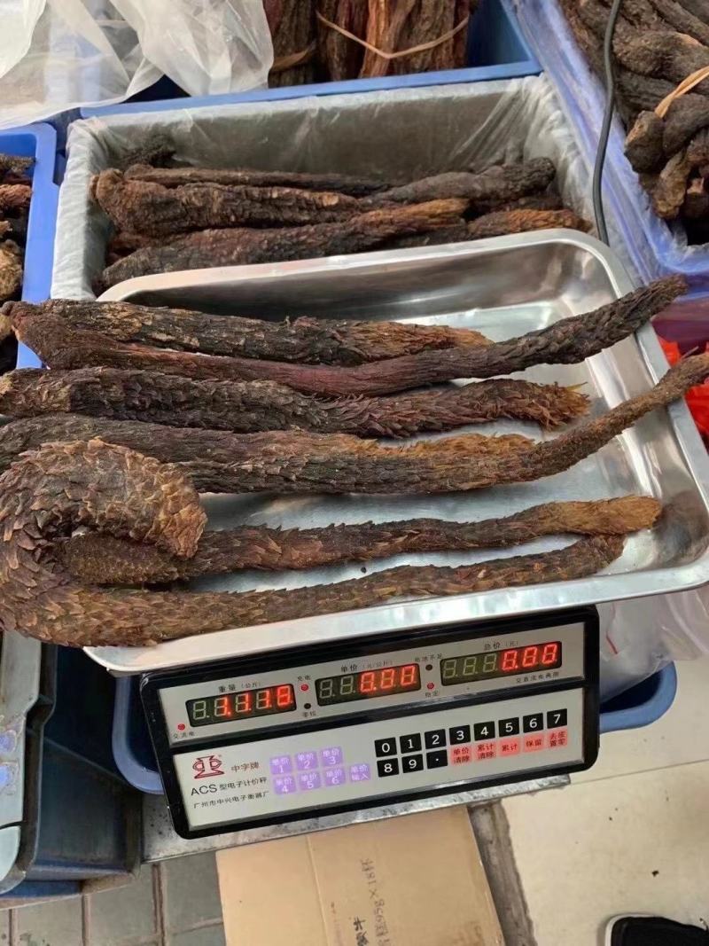 肉苁蓉片大芸个子大货大量供应一件代发