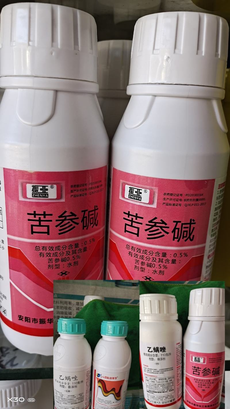 苦叁碱十乙螨唑柑橘果红蜘蛛白蜘蛛破卵兼带杂虫蚜虫青虫