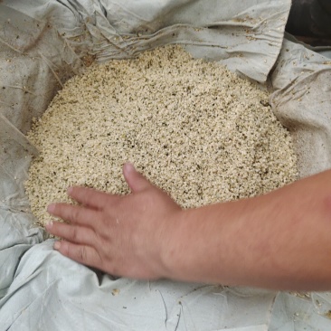火麻仁油