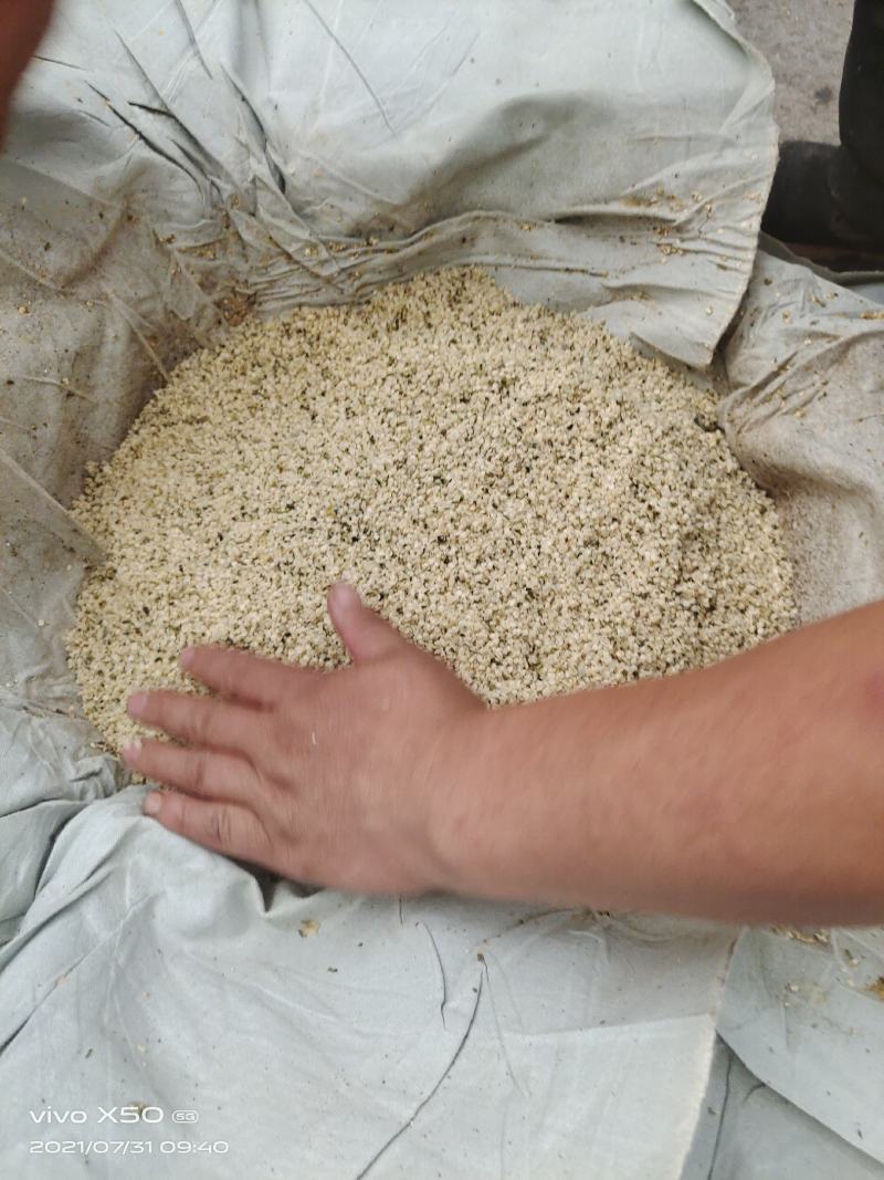 火麻仁油