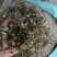 黄储饲料，品质保证，支持视频看货，欢迎各大养殖基地咨询
