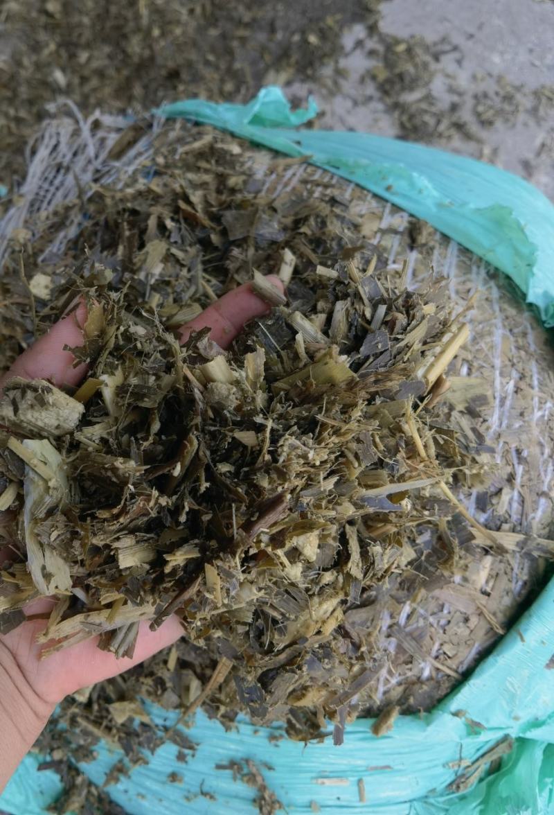 黄储饲料，品质保证，支持视频看货，欢迎各大养殖基地咨询