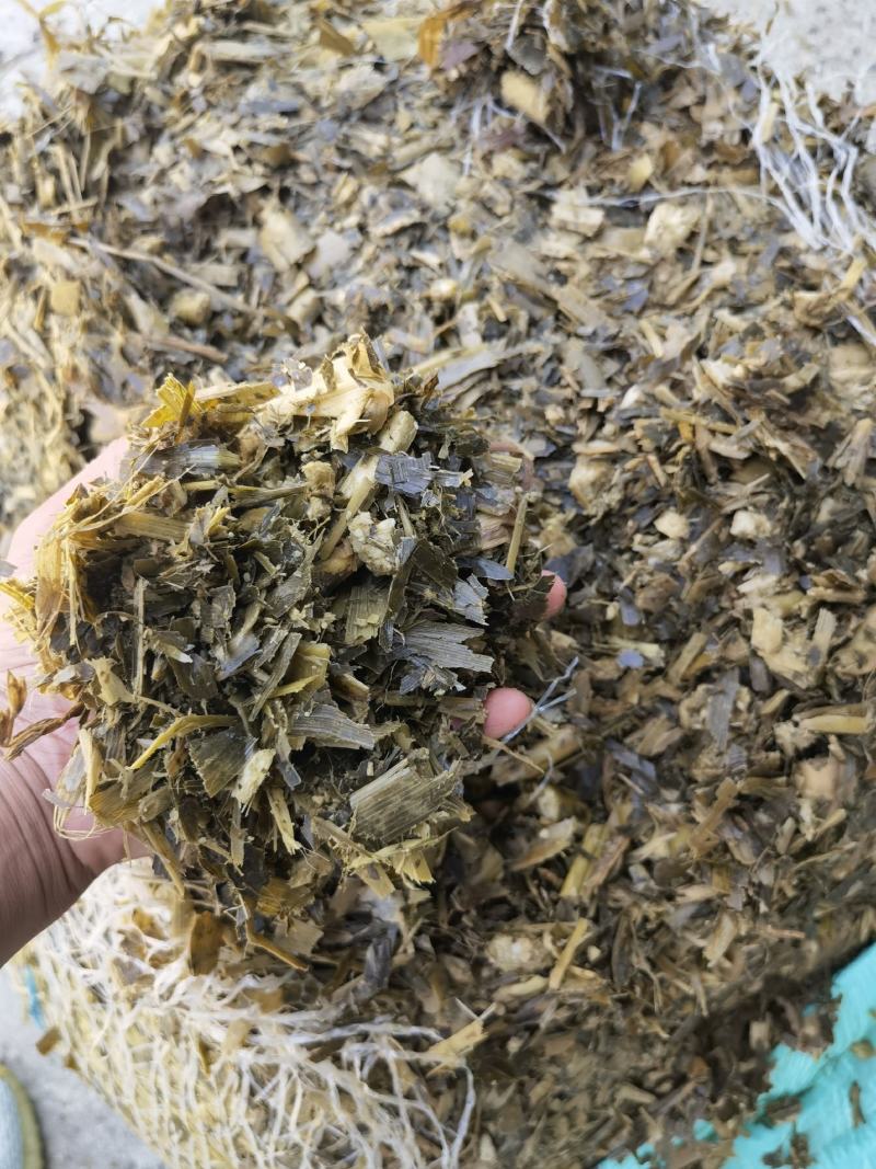 黄储饲料，品质保证，支持视频看货，欢迎各大养殖基地咨询