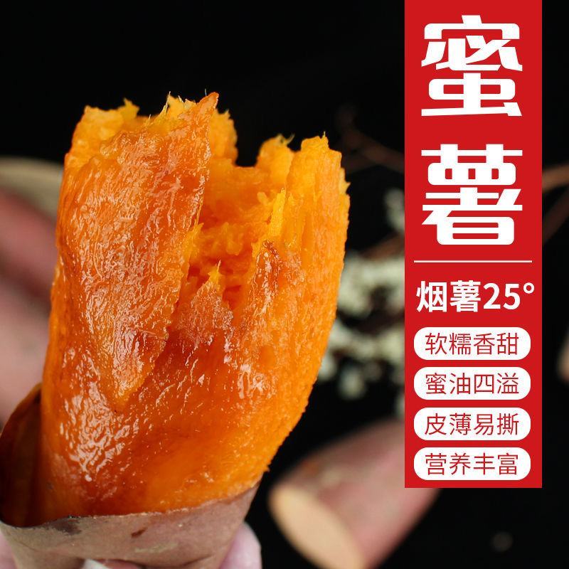 烟薯25蜜薯沂蒙山沙地蜜薯流油蜜薯包邮