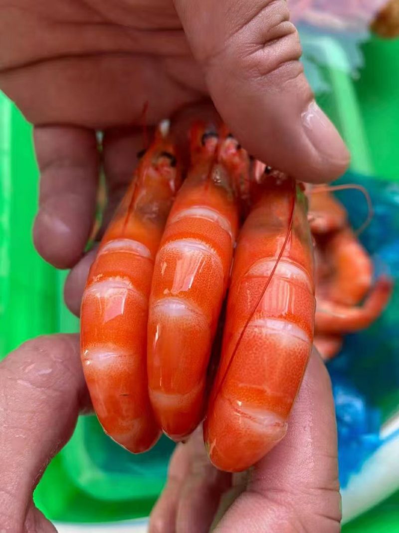 熟虾