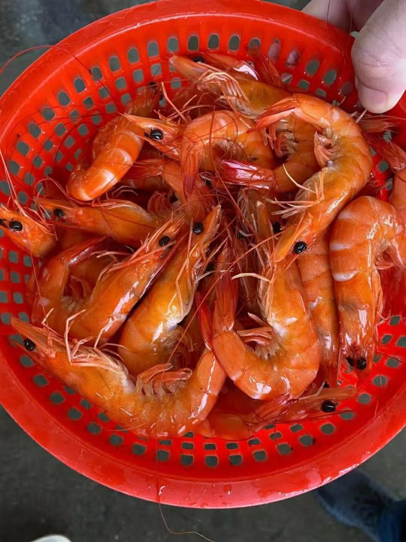 熟虾