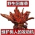 回春草，男人补品