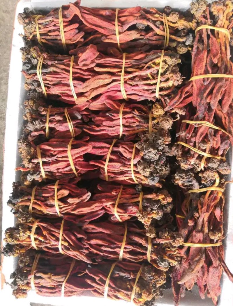 回春草，男人补品