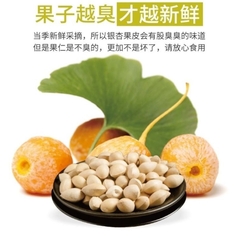 【包邮_5斤白果】热销带壳新鲜无漂白徐州特产白果3斤5斤