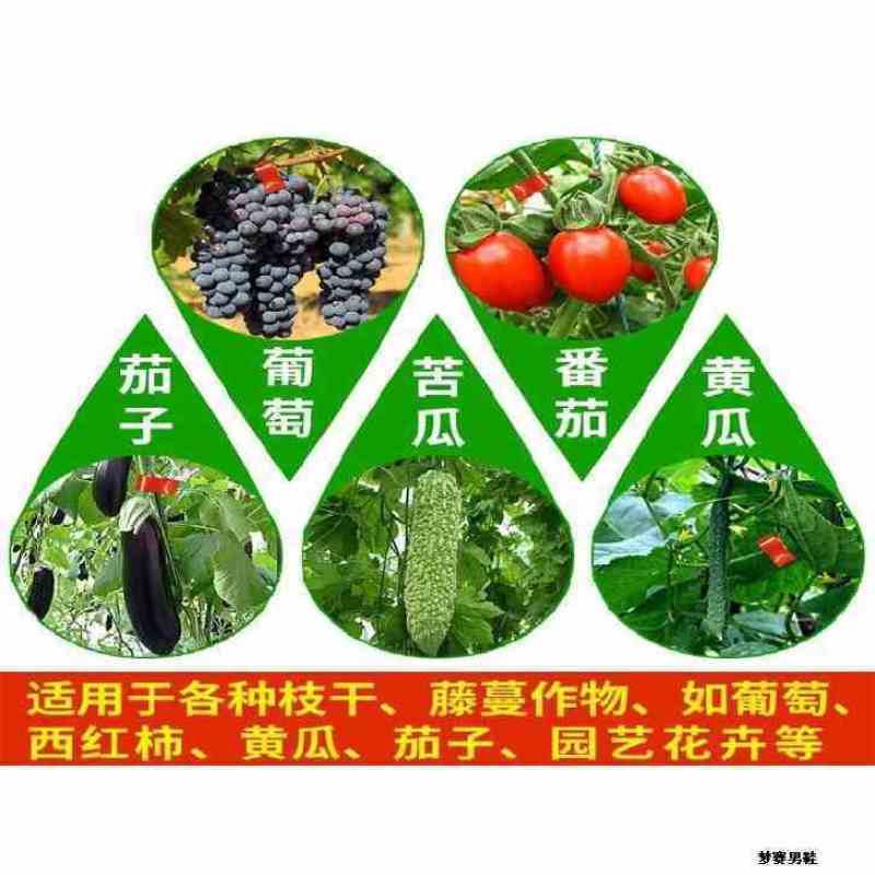 新款双压葡萄西红柿黄瓜绑枝机绑蔓枪绑枝器绑枝机绑蔓器捆绑